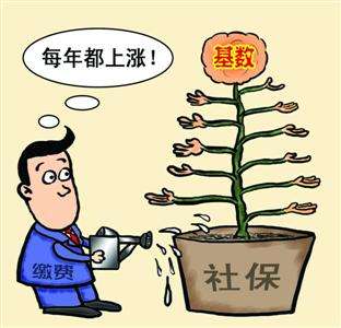 個人和單位繳納的社保，待遇會有什么區別？ 第1張