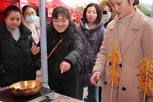 “百米小巷”人潮涌動！瑞方人力助力2025年武侯區(qū)春風(fēng)行動專場招聘會“開門紅” 第9張