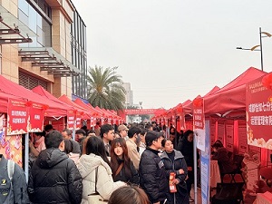 “百米小巷”人潮涌動！瑞方人力助力2025年武侯區(qū)春風(fēng)行動專場招聘會“開門紅” 第5張